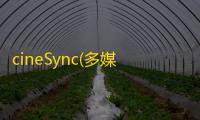 cineSync(多媒体同步工具) 4.1.9 官方版